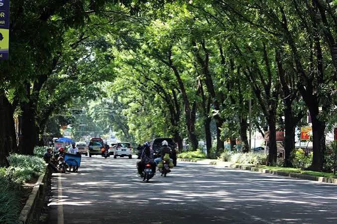 Fun Fact Unik Jalanan Bogor yang Wajib Diketahui Sebelum Road Trip!