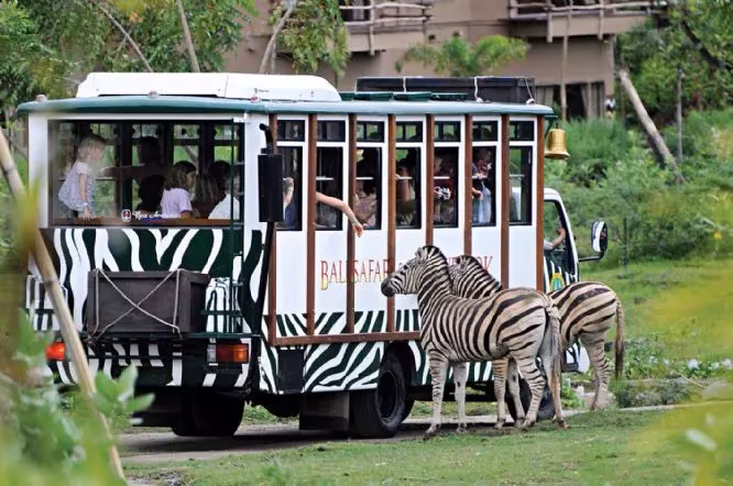 Sewa Mobil & Motor Transgo ke Taman Safari Bogor - Solusi Liburan Keluarga Tanpa Ribet