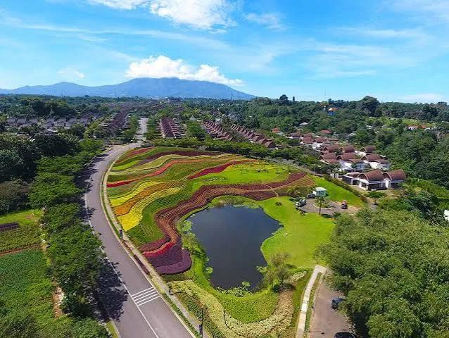 Sewa Mobil Ciawi: Solusi Sewa Kendaraan Praktis untuk Transit Wisata, Bisnis, dan Perjalanan Rombongan Keluarga