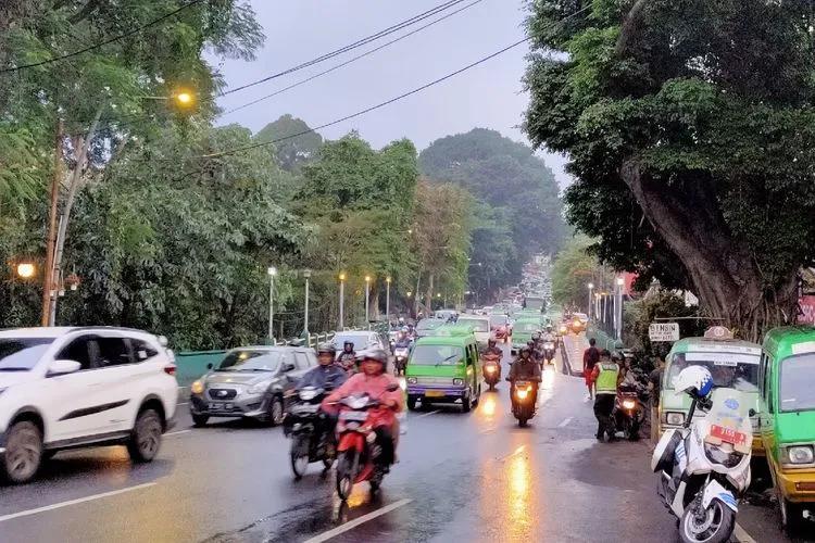 Transgo Bogor - Solusi Sewa Motor & Mobil Terpercaya di Kota Hujan