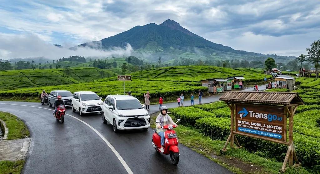 Sewa Mobil & Motor Bogor Murah & Praktis | Transgo