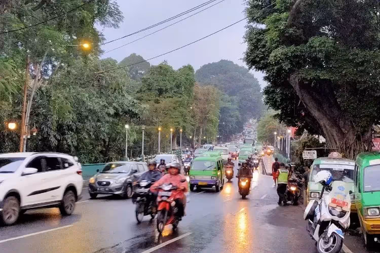 Sewa Motor untuk Keliling Kota Bogor - Transgo, Bebas Eksplor Tanpa Batas!